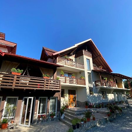 Vila Sorina Borşa Exterior foto