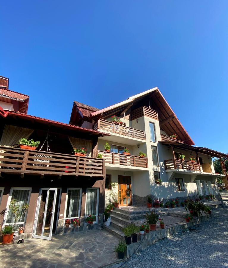 Vila Sorina Borşa Exterior foto