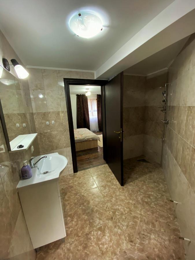 Vila Sorina Borşa Exterior foto